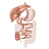 bypass_gastrico_anastomosis bypass_gastrico_anastomosis